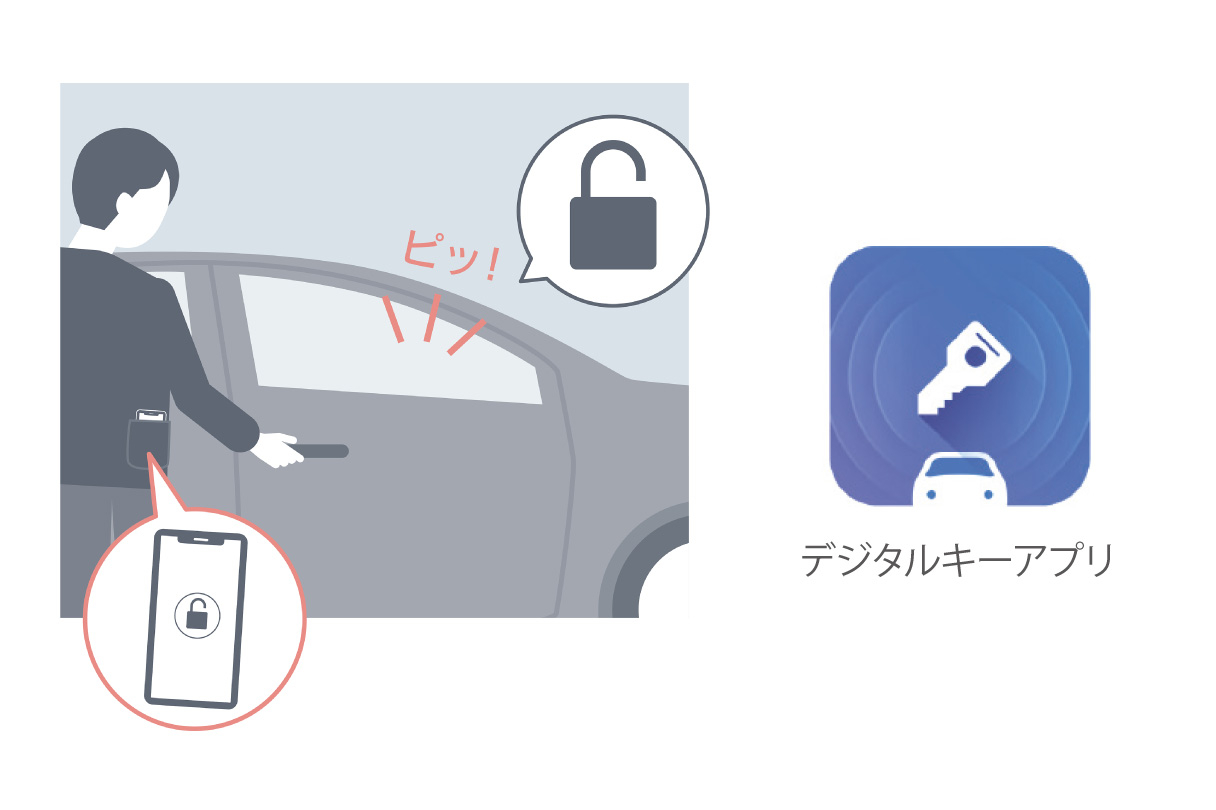 crown_connected_img08