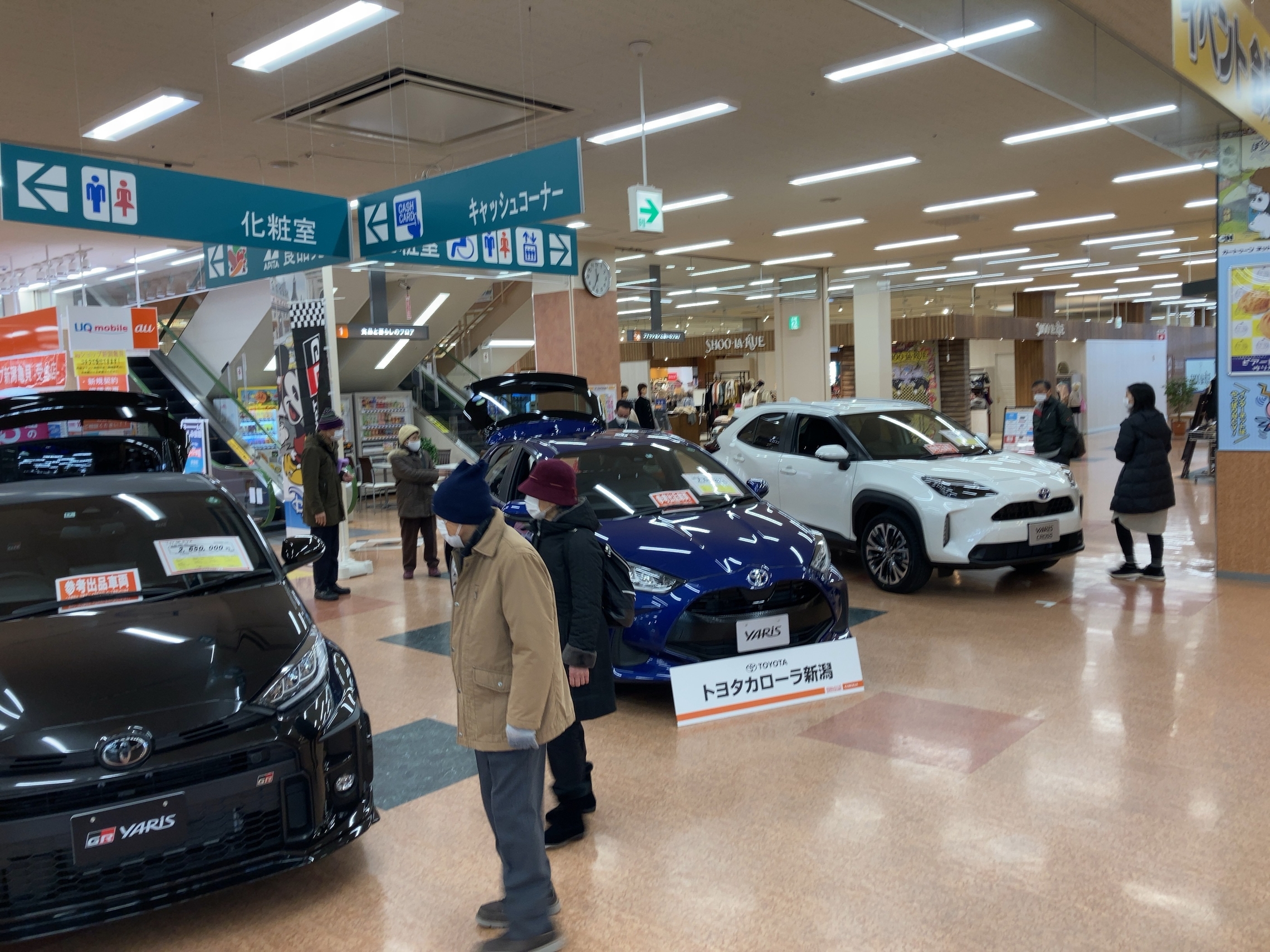 アピタ新潟西店様にて移動展示会やってます！！！