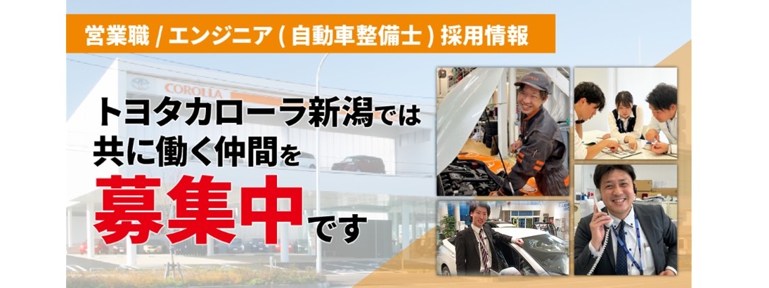 採用